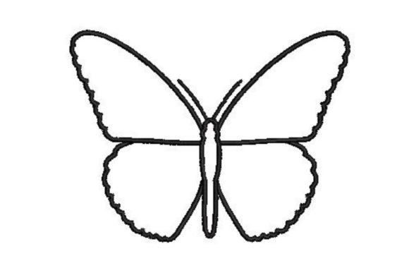 Butterfly Line Drawing: A Designer’s Real-World Review