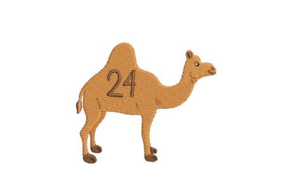 Camel with Number 24